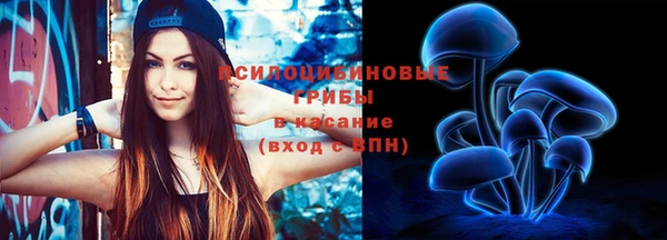 гашик Козельск