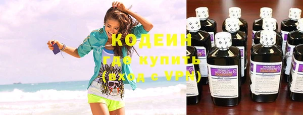 гашик Козельск