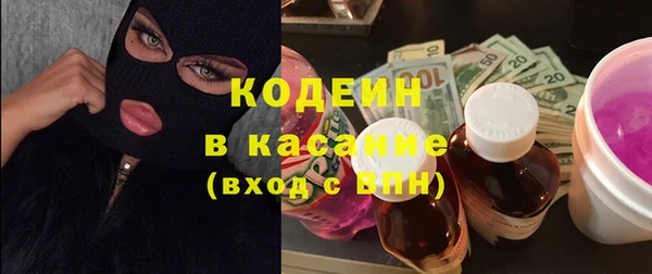 гашик Козельск