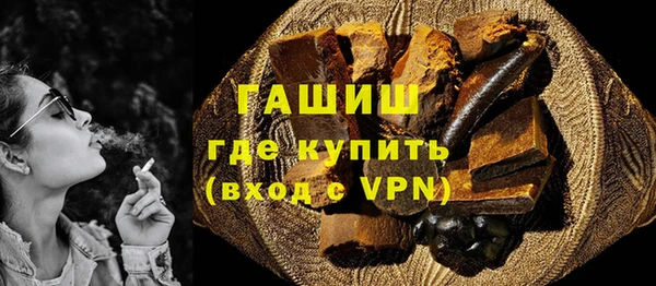 гашик Козельск