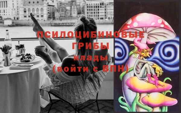 гашик Козельск
