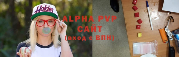 гашик Козельск