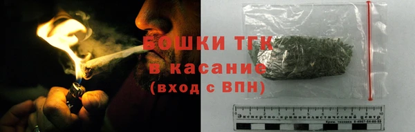 гашик Козельск