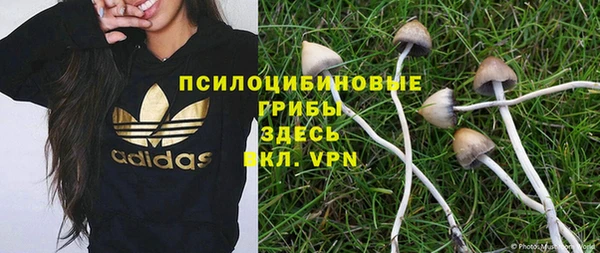 молекула духа Кодинск