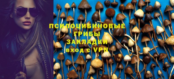 хмурый Сафоново