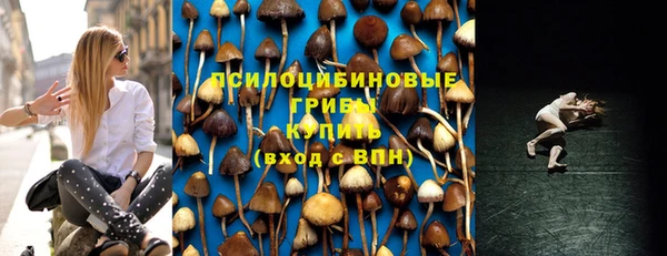 молекула духа Кодинск