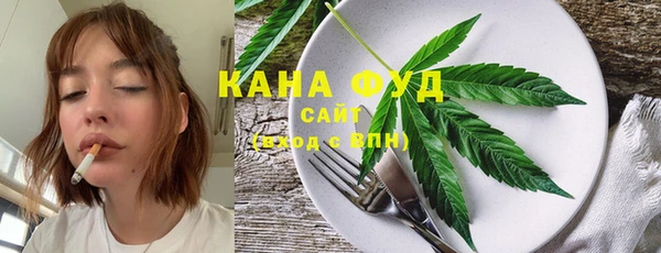 гашик Козельск