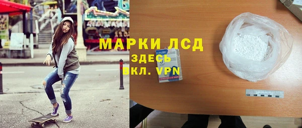 гашик Козельск