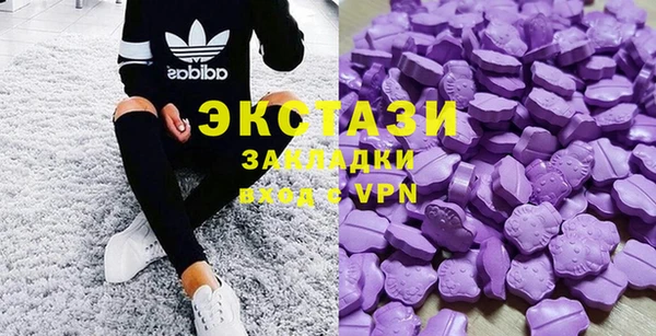 гашик Козельск