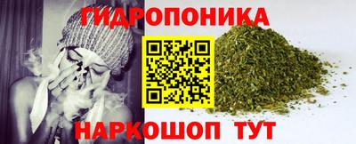 индика Заволжье