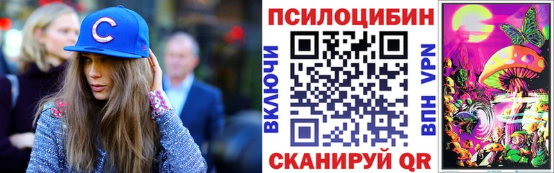 Галлюциногенные грибы Psilocybe  мега как зайти  Оренбург 