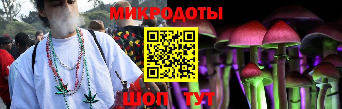 Псилоцибиновые грибы мицелий Оренбург