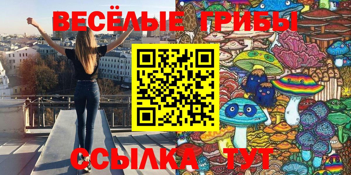 Псилоцибиновые грибы мицелий  Вход с VPN  Оренбург  Псилоцибиновые грибы прущие грибы 